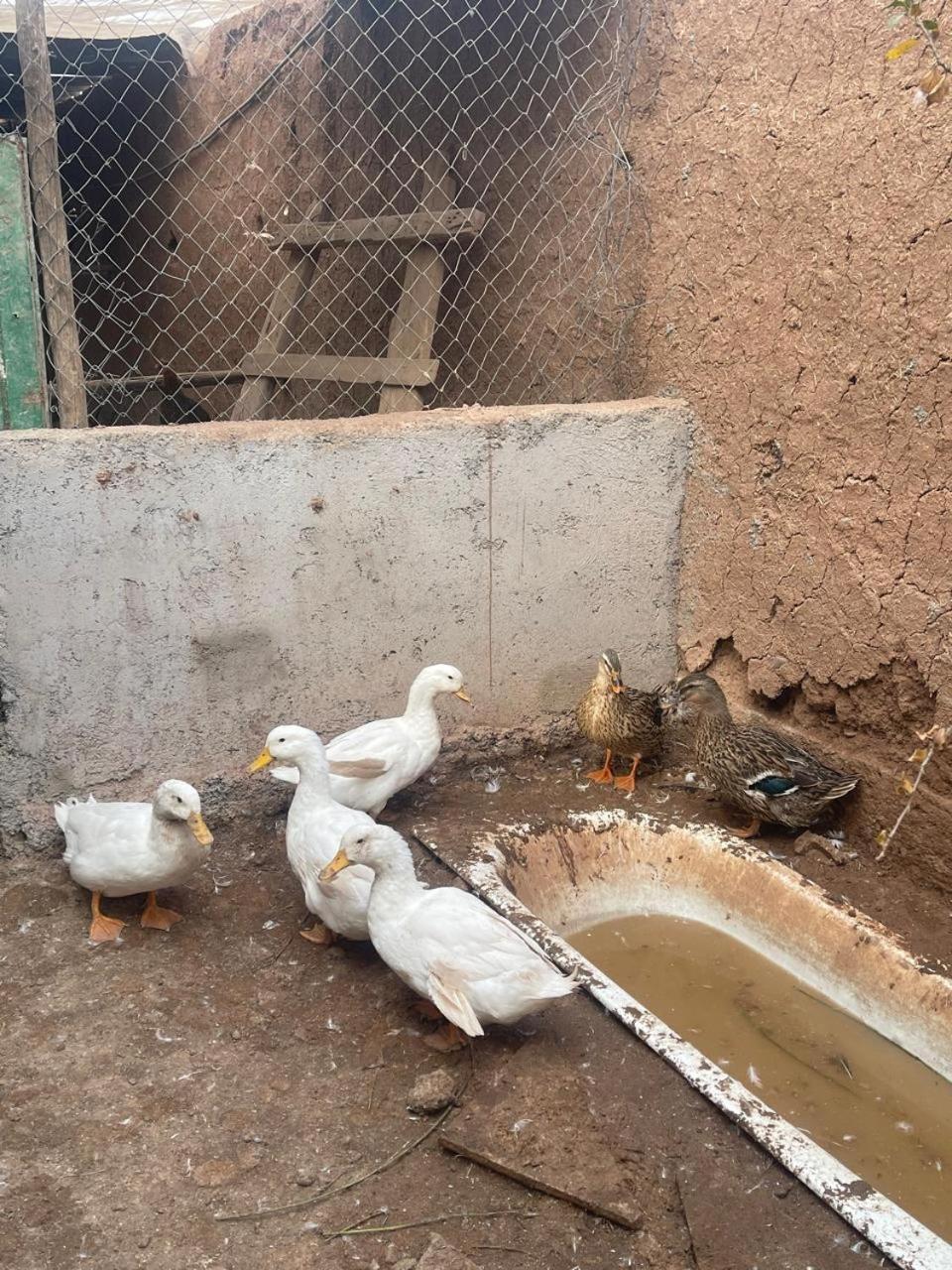 Riad Oussari Marrakesh Exterior foto